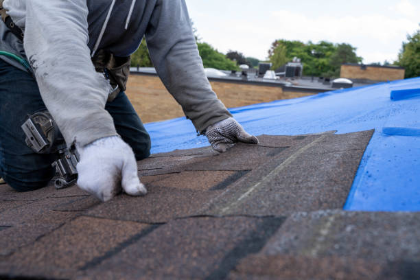 Best Roof Leak Repair  in Thunder Mountain, NM