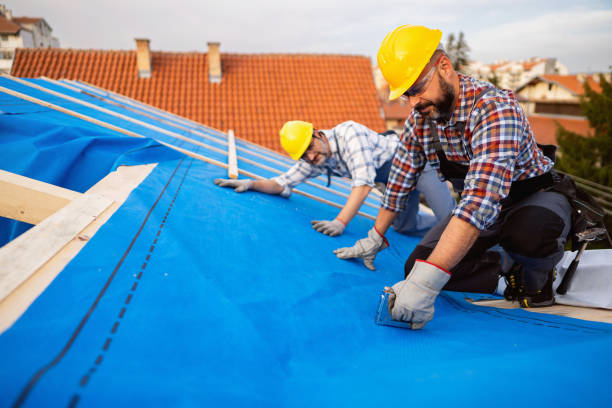 Best Roof Waterproofing Services  in Thunder Mountain, NM